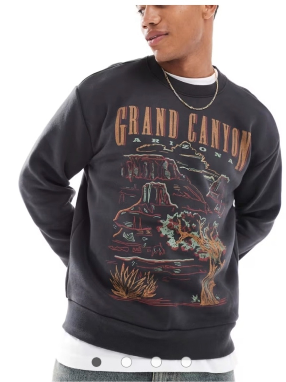 Hollister Mens Grand Canyon Crew Neck Sweatshirt Size Medium